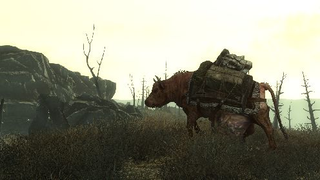 Illustration for article titled How Fallout 3 Is Different Than Oblivion